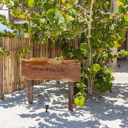 Ocean View Loft In Punta Cocos - C102 Hotell Holbox  Eksteriør bilde