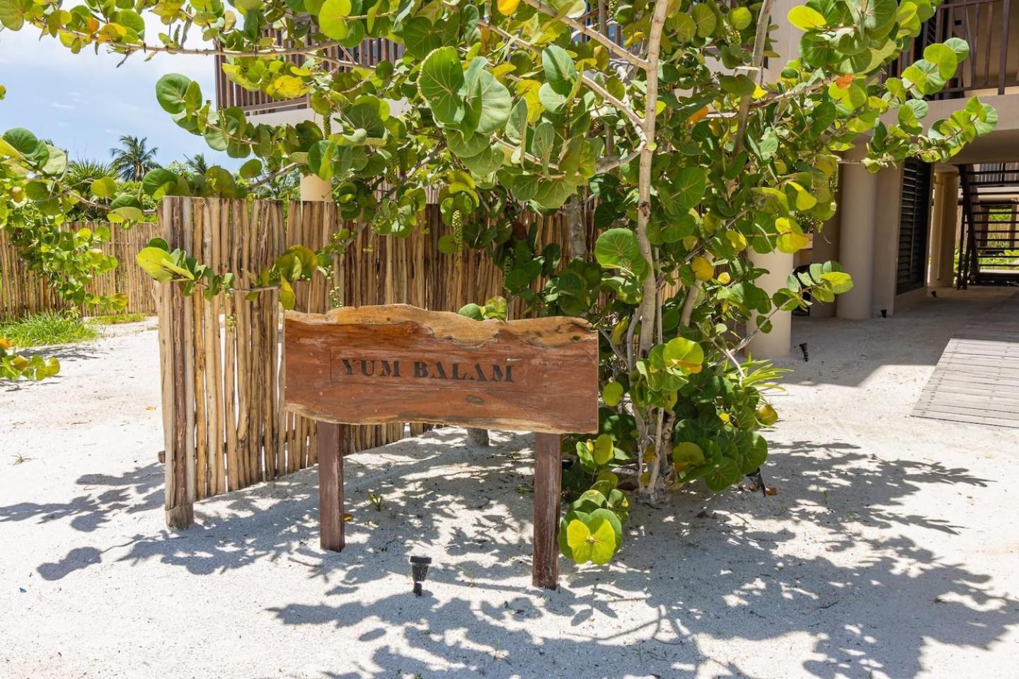Ocean View Loft In Punta Cocos - C102 Hotell Holbox  Eksteriør bilde